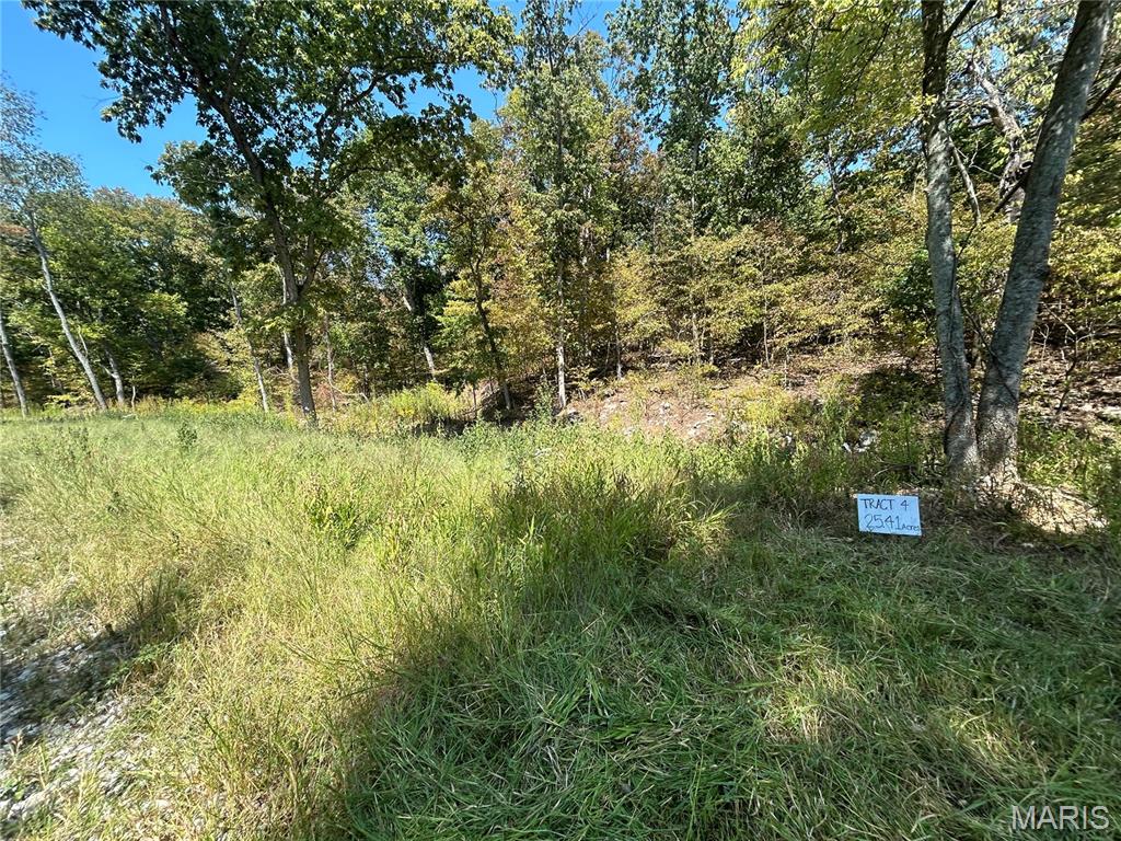 2000 Lot 4 Crossroads Road