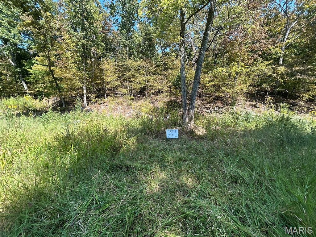 2000 Lot 4 Crossroads Road