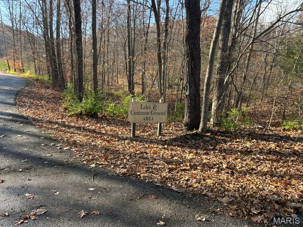 THE BLUFFS AT HOENE SPRINGS - Land