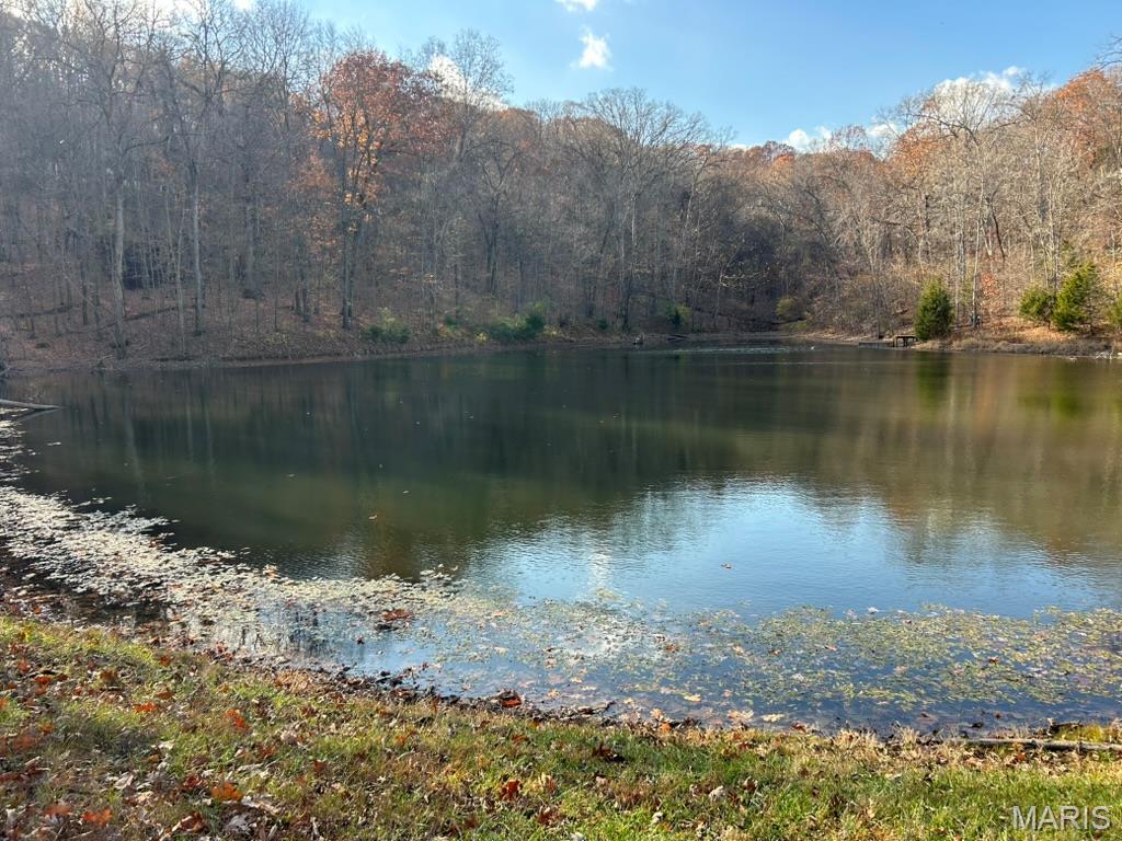 THE BLUFFS AT HOENE SPRINGS - Land