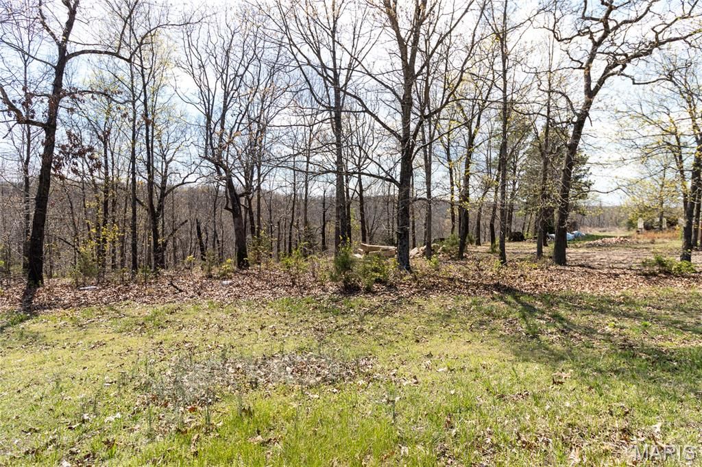 Photo of 24705 Thunder Lane, St Robert, MO 65584 (MLS # 26005945)
