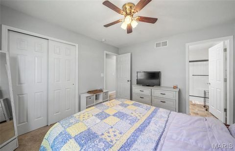 Tiny photo for 243 Duffers Drive, St Clair, MO 63077 (MLS # 26030220)