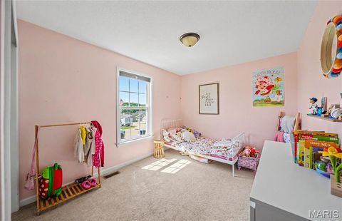 Tiny photo for 243 Duffers Drive, St Clair, MO 63077 (MLS # 26030220)