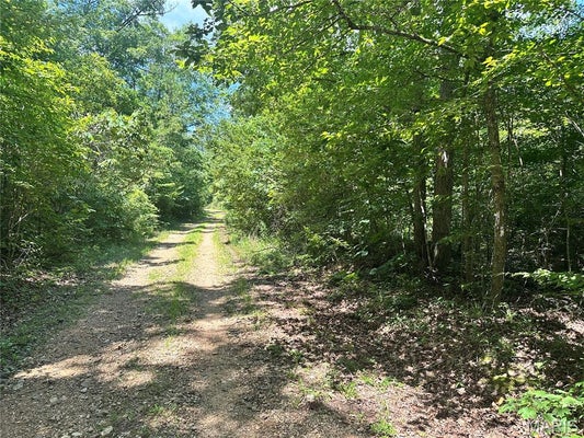 ADDRESS PRIVATE, ANNAPOLIS, MO 63620 - Image b5543e255d94de1cd6a52b0da2e28e30/4256439911