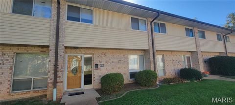 10070 Sakura Drive St Louis MO 63128