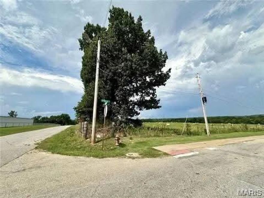 Sub-Division possible on 34 acres M/L with paved road frontage on two sides, all inside city limits with city utilities available. Buyer to do own due diligence concerning utilities. Partial survey has been completed. Walking distance of schools and shopping, parks. Limitless building sites. Owner may divide.