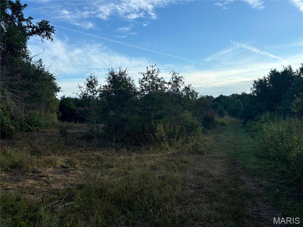 Halyon Estates - Land