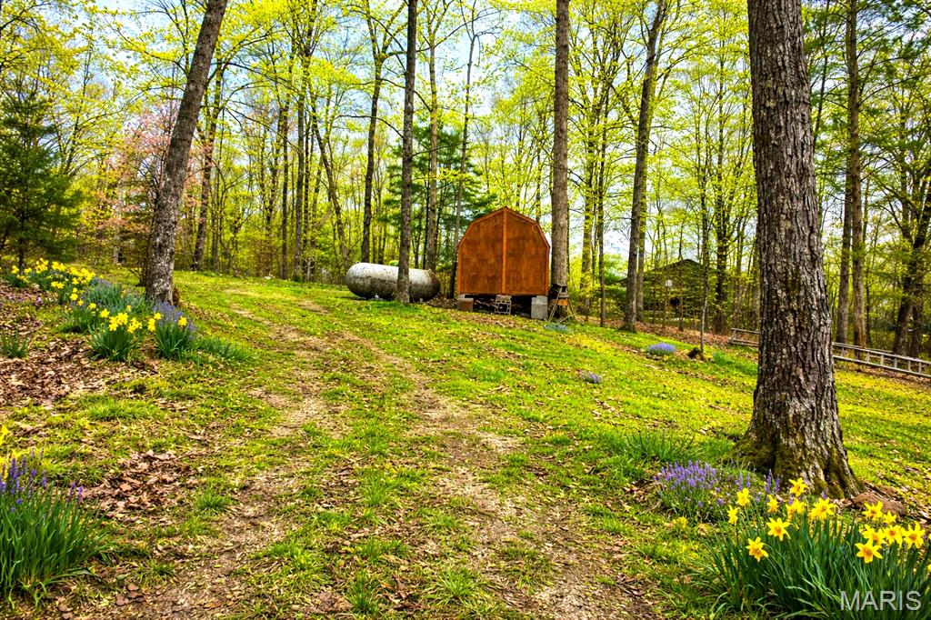 Eleven Point River - Residential