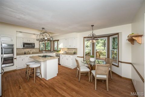 Tiny photo for 16401 Wilson Farm Drive, Chesterfield, MO 63005 (MLS # 25067784)