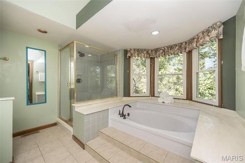 Tiny photo for 16401 Wilson Farm Drive, Chesterfield, MO 63005 (MLS # 25067784)