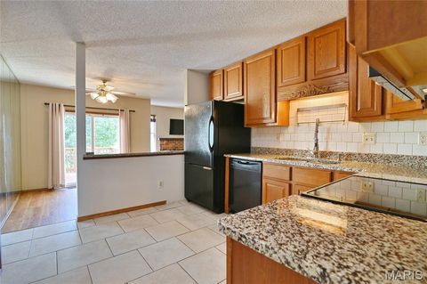 Tiny photo for 1005 Pocono Trail, Ballwin, MO 63021 (MLS # 25067627)