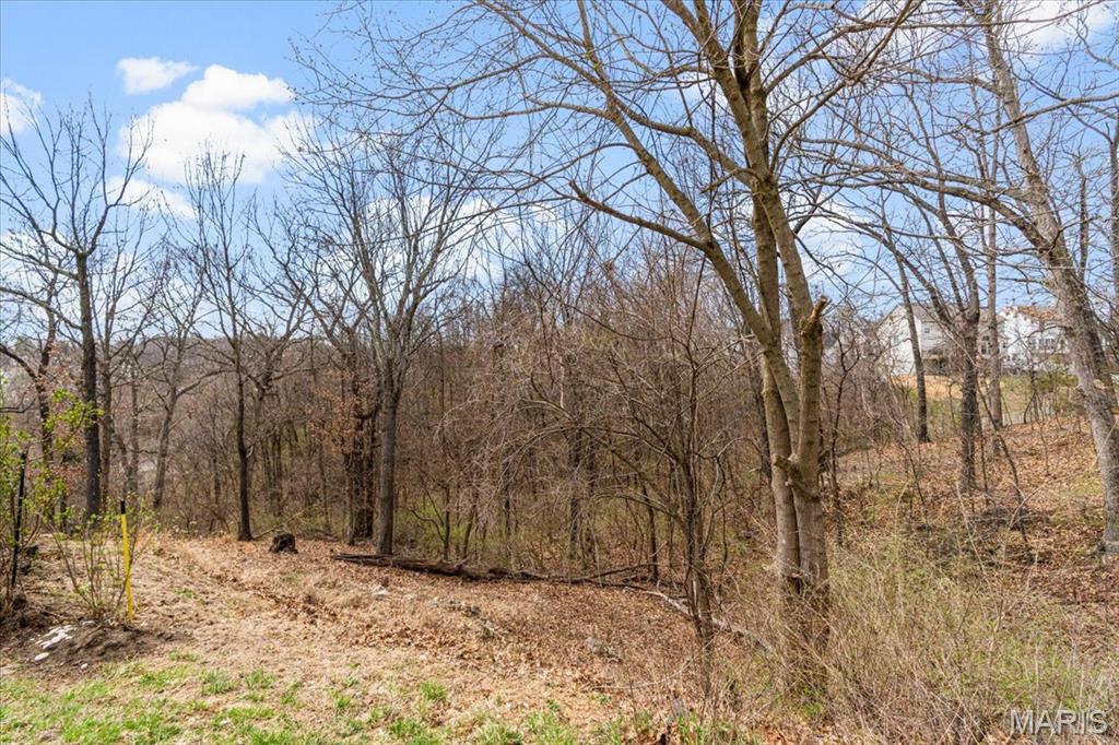 Timber Ridge - Residential