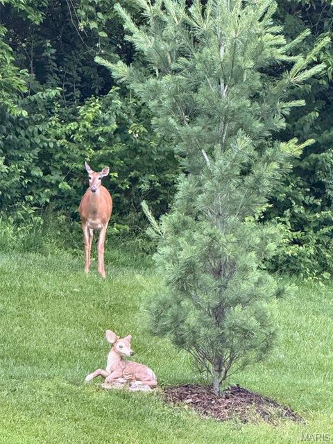 Tiny photo for 425 Round Tower Drive W, Cottleville, MO 63304 (MLS # 26018584)