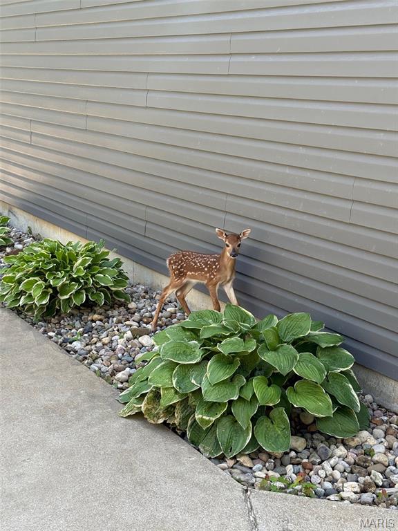 Windsor Place - Residential