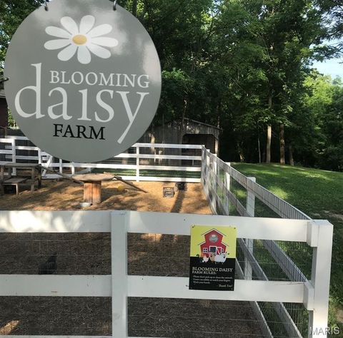 Tiny photo for 425 Round Tower Drive W, Cottleville, MO 63304 (MLS # 26018584)