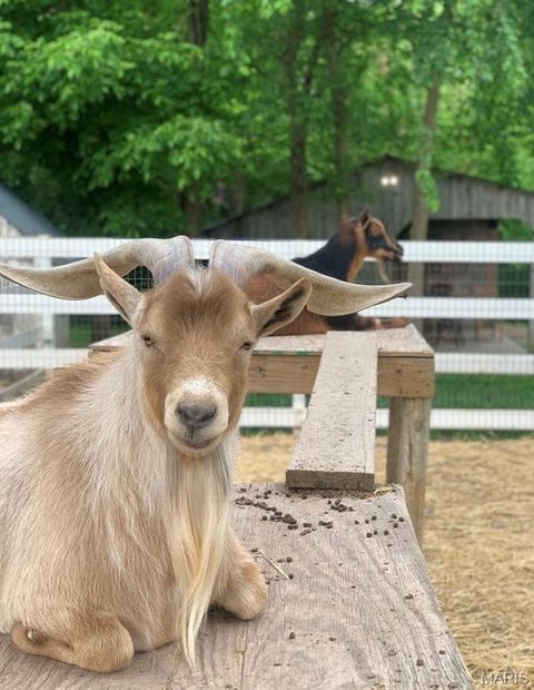 Tiny photo for 425 Round Tower Drive W, Cottleville, MO 63304 (MLS # 26018584)