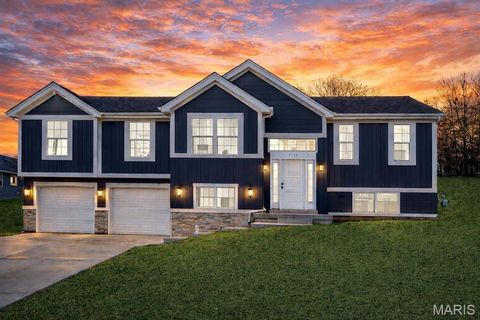 161 Pellin's Court 161 STB Washington MO 63090