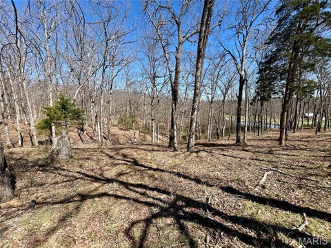 Tiny photo for 104 Spring Lake Court, Troy, MO 63379 (MLS # 26022674)