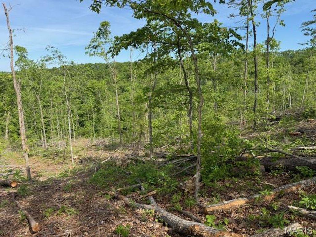 Photo of TBD County Road 305A, Eminence, MO 65466 (MLS # 26026717)