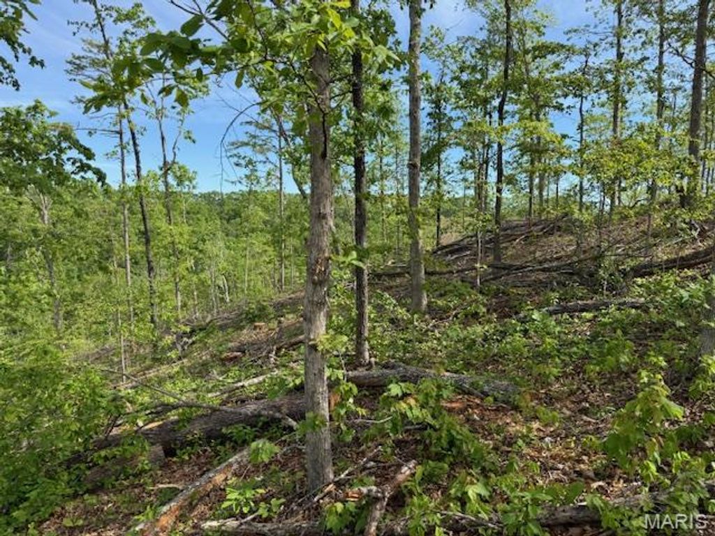 Photo of TBD County Road 305A, Eminence, MO 65466 (MLS # 26026717)