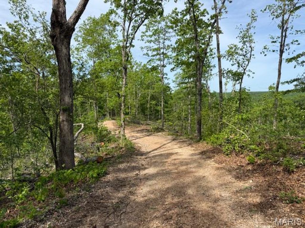 Photo of TBD County Road 305A, Eminence, MO 65466 (MLS # 26026717)