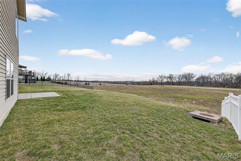 Tiny photo for 219 Lonepine Drive, Wentzville, MO 63385 (MLS # 26000453)