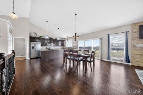 Tiny photo for 219 Lonepine Drive, Wentzville, MO 63385 (MLS # 26000453)