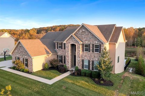 16956 Bottlebrush Court Chesterfield MO 63005