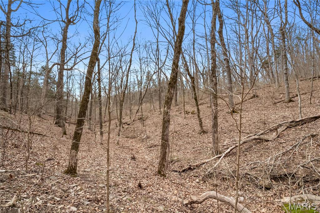 2537 Alpine Woods Drive