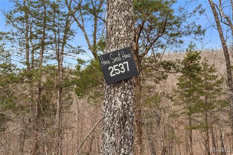 2537 Alpine Woods Drive Innsbrook MO 63390