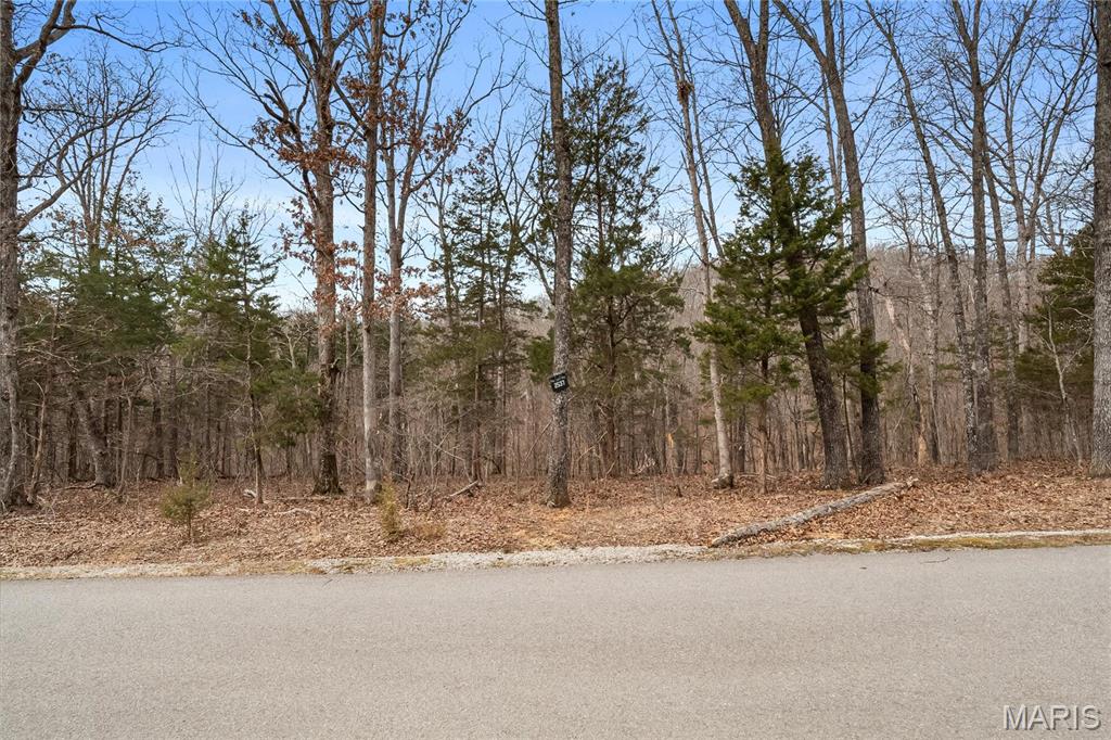 2537 Alpine Woods Drive