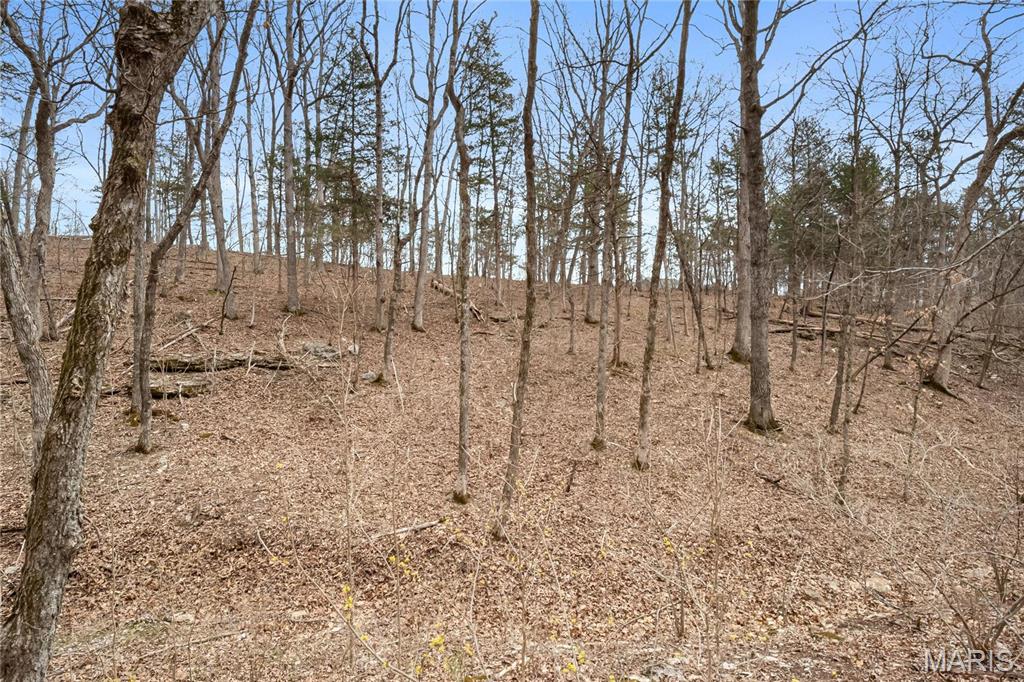 2537 Alpine Woods Drive