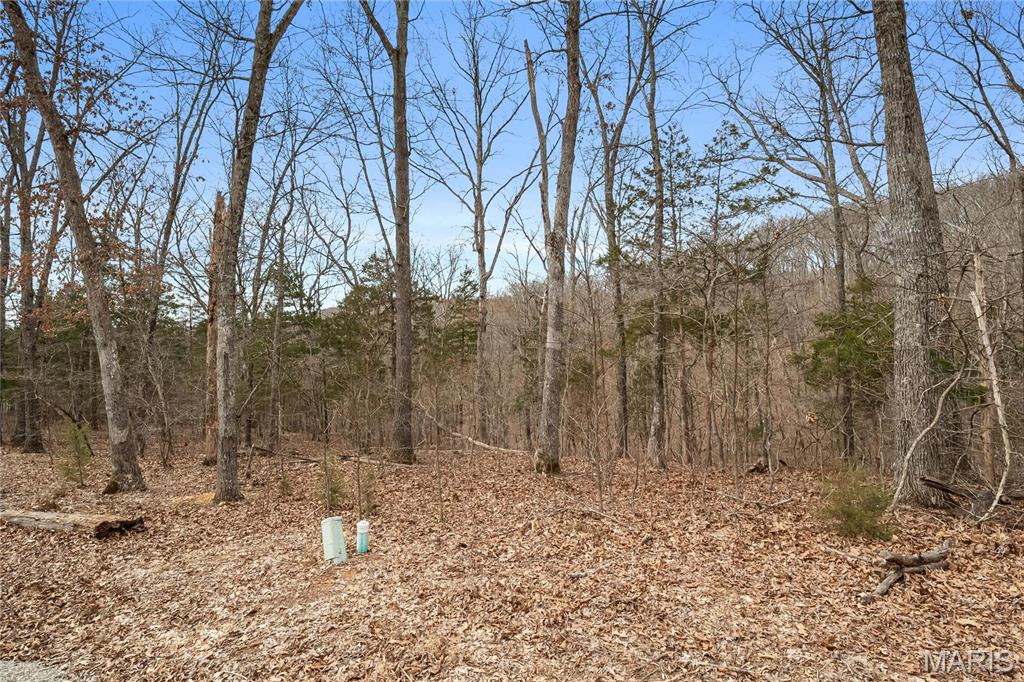 2537 Alpine Woods Drive