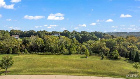 Photo of 310 Wardenburg Farms Drive, Wildwood, MO 63005 (MLS # 26017784)