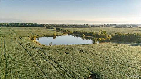 Tiny photo for 0 Highway 154, Perry, MO 63462 (MLS # 25061101)