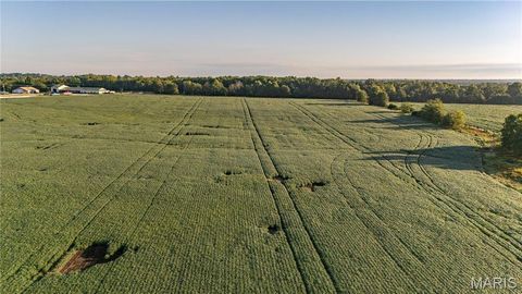 Tiny photo for 0 Highway 154, Perry, MO 63462 (MLS # 25061101)