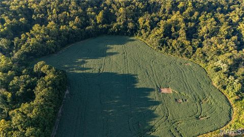 Tiny photo for 0 Highway 154, Perry, MO 63462 (MLS # 25061101)