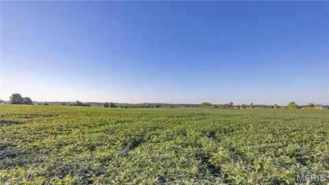 Tiny photo for 0 Highway 154, Perry, MO 63462 (MLS # 25061101)