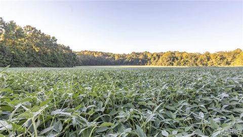 Tiny photo for 0 Highway 154, Perry, MO 63462 (MLS # 25061101)
