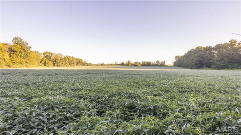 Tiny photo for 0 Highway 154, Perry, MO 63462 (MLS # 25061101)
