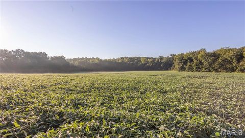 Tiny photo for 0 Highway 154, Perry, MO 63462 (MLS # 25061101)
