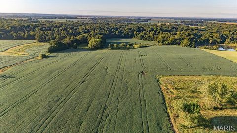 Tiny photo for 0 Highway 154, Perry, MO 63462 (MLS # 25061101)