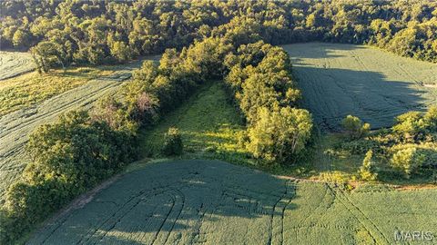 Tiny photo for 0 Highway 154, Perry, MO 63462 (MLS # 25061101)