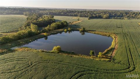 Photo of 0 Highway 154, Perry, MO 63462 (MLS # 25061101)