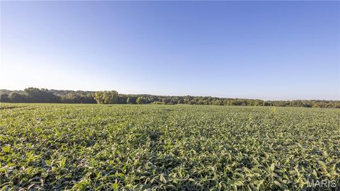 Tiny photo for 0 Highway 154, Perry, MO 63462 (MLS # 25061101)