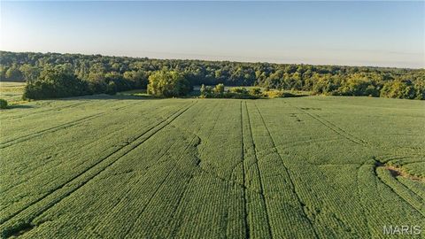 Tiny photo for 0 Highway 154, Perry, MO 63462 (MLS # 25061101)