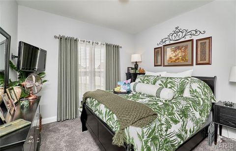 Tiny photo for 317 Orchid Court, Troy, MO 63379 (MLS # 25066360)