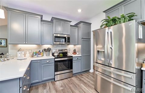 Tiny photo for 317 Orchid Court, Troy, MO 63379 (MLS # 25066360)