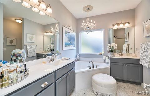 Tiny photo for 317 Orchid Court, Troy, MO 63379 (MLS # 25066360)