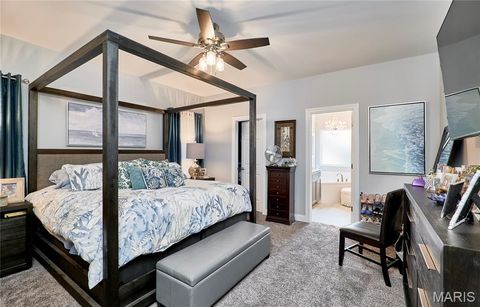Tiny photo for 317 Orchid Court, Troy, MO 63379 (MLS # 25066360)